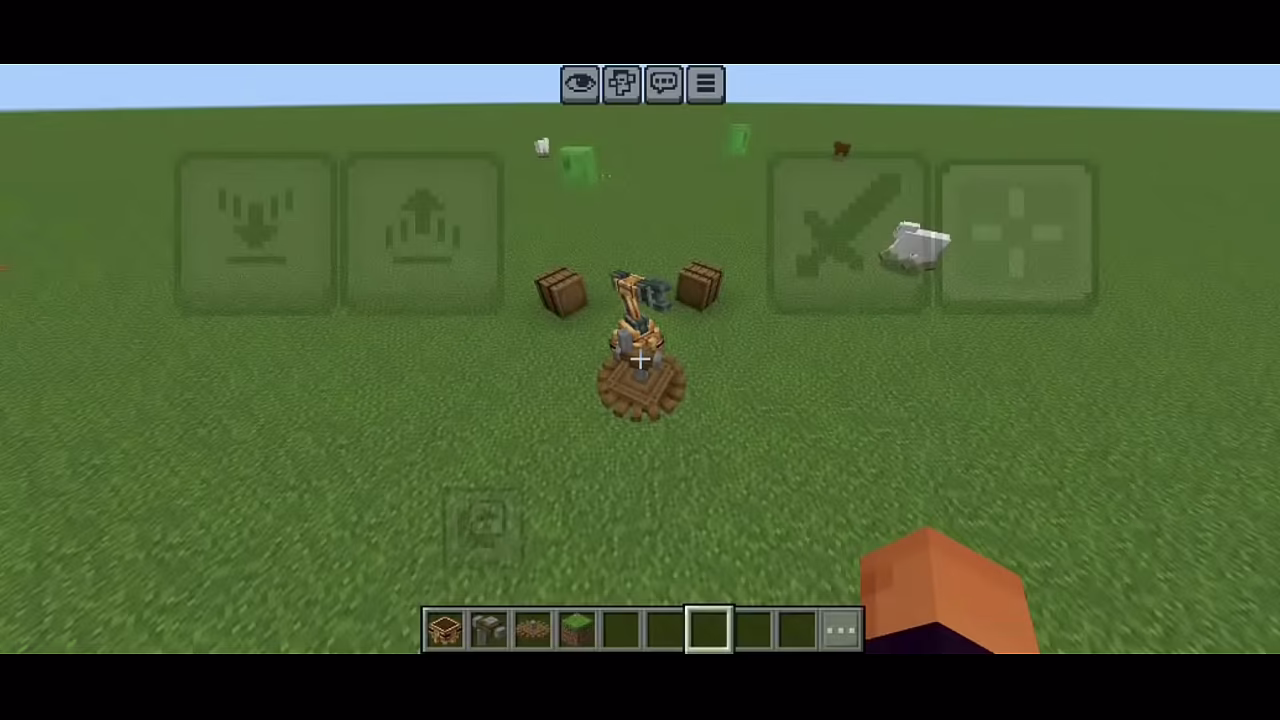 V&iacute;deo de verifica&ccedil;&atilde;o