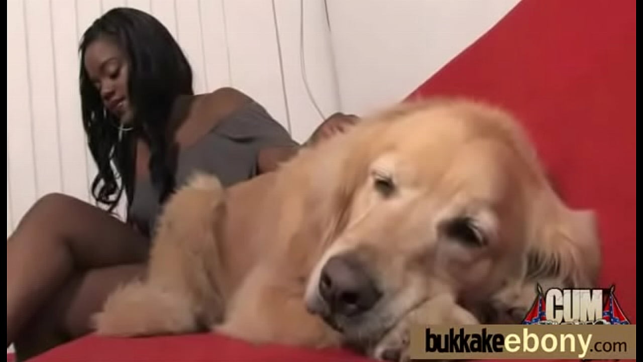 Hard ebony group blowjob 22