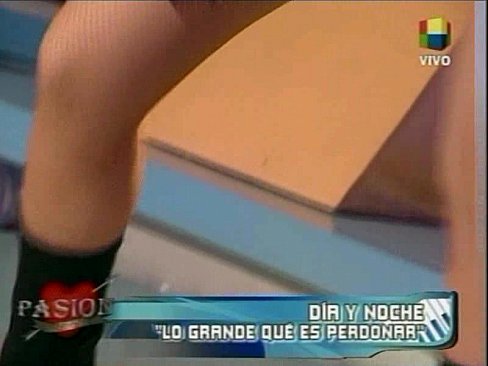 Bailarinas De Pasion - Pink Short Skirts