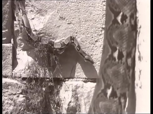 Sublimi amplessi (Film Completo)