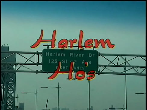 Harlem Ho's #1 (1999) - Hot black whores straight from the streets of Harlem