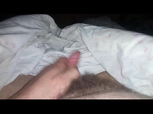 Ověřovací video