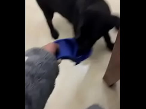 验证视频