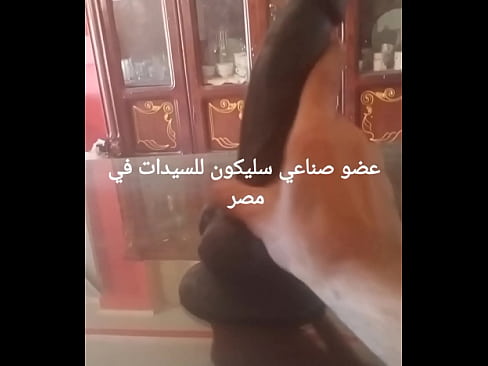 سكس مصري