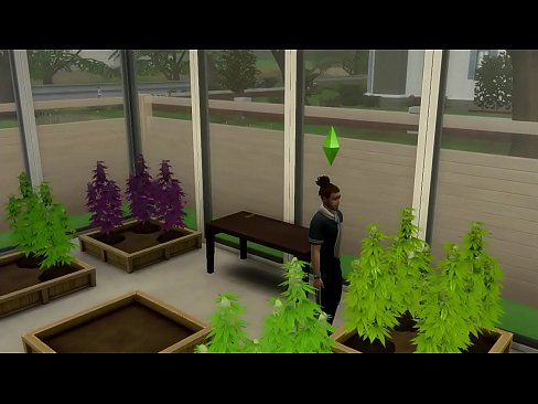 Sims 4 sexo con mi vecina