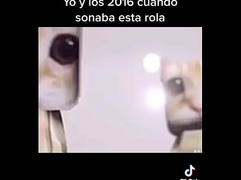 Meme del noche xd