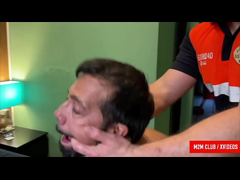 Osos Españoles cogiendo a pelo