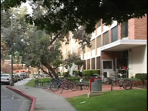 Young coeds every professor likes - Amytheist Stone, Angel Long, Katie Morgan, Lea De Mae, Noname Jane  Young coeds every professor likes - Amytheist Stone, Angel Long, Katie Morgan, Lea De Mae, Noname Jane