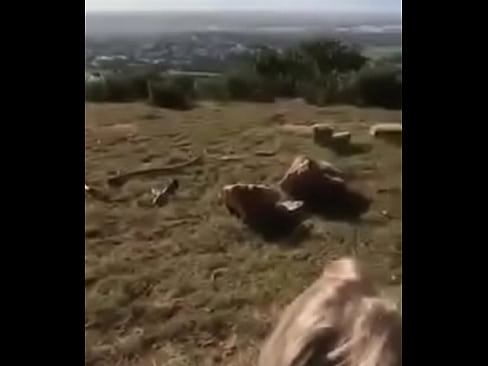 18 year old slut fucked in the mountains public