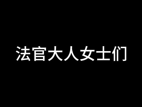 舌战法庭 第三章