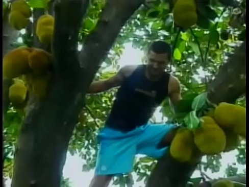 Lusty young Brazilian  dude helps his friend to gather exotical fruits
