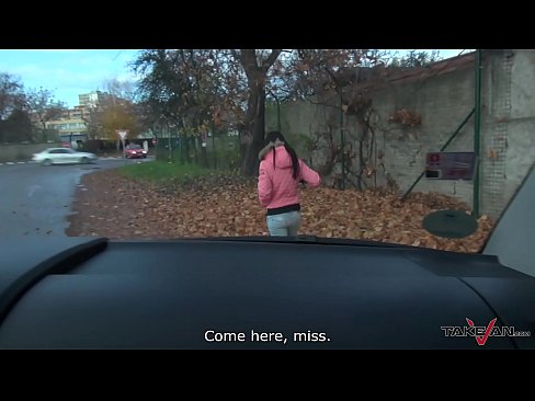 Street pickup and car sex