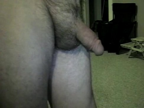 Only a cock to see
