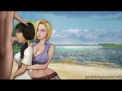 DragonBall Videl and ChiChi