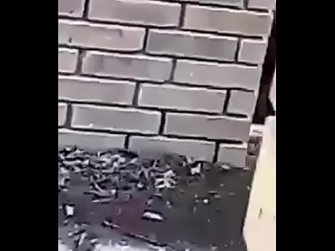 La graban mientras se la tira su ex novio