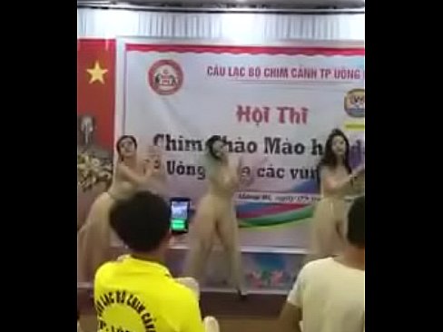 thi chim cap nhat moi nhat