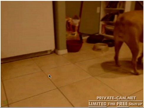 blonde in panties cooks dinner