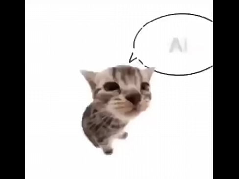 验证视频