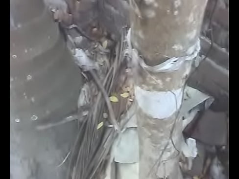 gosol bangladeshi aunty 2