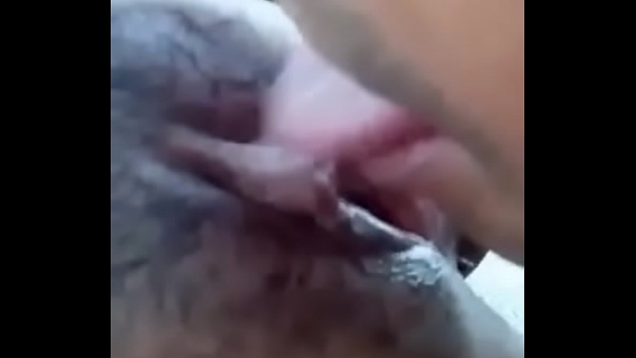 Indian aunty pussy