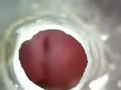 Inside my piss hole