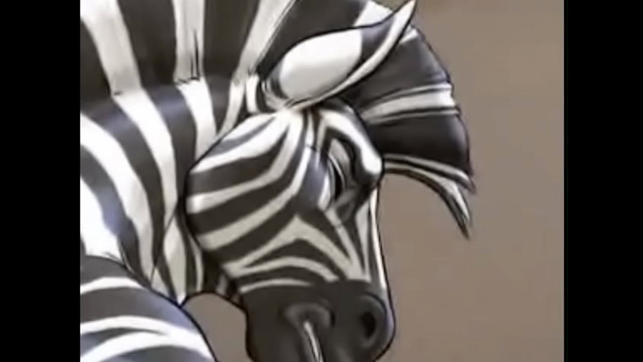 Zebras in November